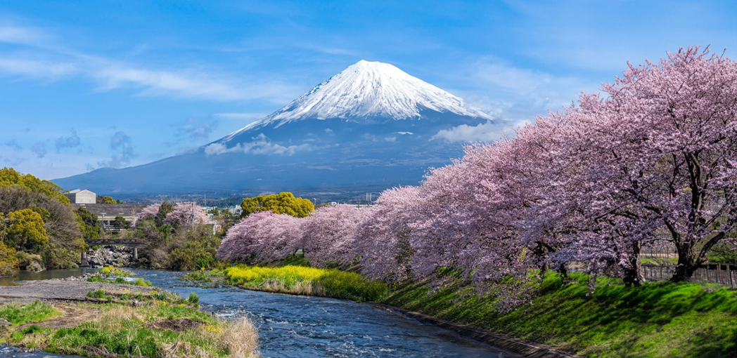 Góra Fuji